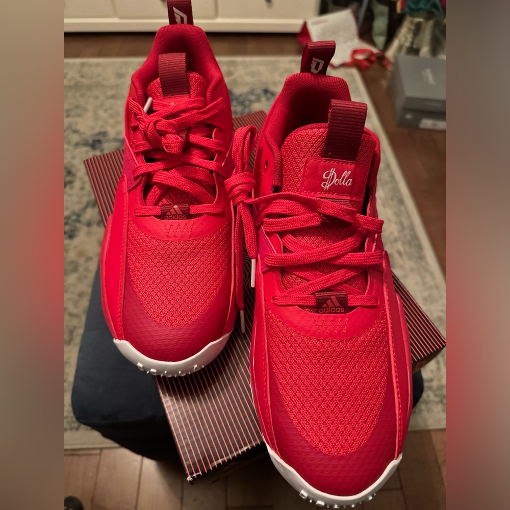 Never worn Reebok Dame Basketball shoes